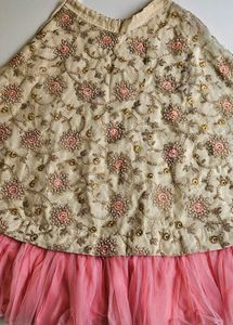 Embroidered Tulle Skirt