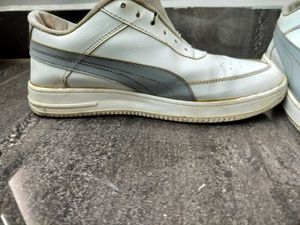 OG Epic Puma Shoe