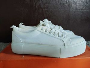 H&amp;M Canvas