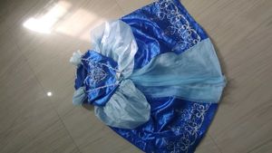 Blue Princess Costume Dress