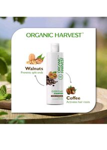Organic Harvest Every Day Shampoo: &Amp: Walnuts