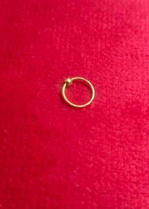 Gold Nose Ring 16k
