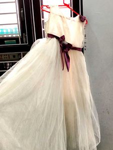 Elegant Girls Dress net  full frel gwon