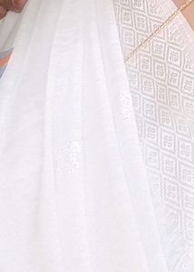 Elegant White Saree