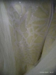 Princes Frock Or Gown