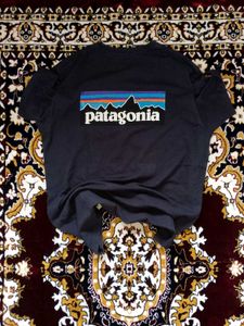 Patagonia Organic Cotton T-Shirt