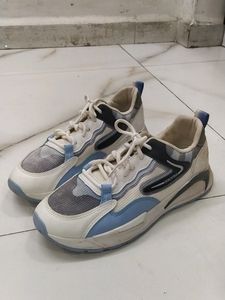 Campus Shoe