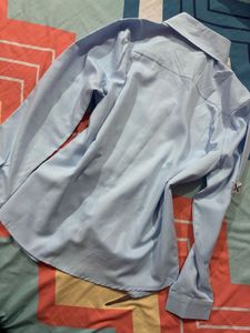 Savana Blue Butterfly Shirt