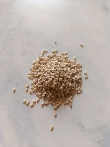 Semi and parijatha seeds