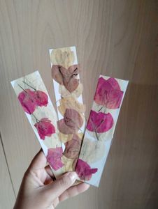 ressed Flower Bookmarks (Set of 3)+ 1 Freebies ✅✅