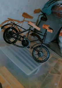 Metal Showpiece Cycle