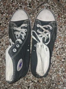 Converse Shoes