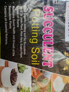 Succulent Pot Mix 250 grams