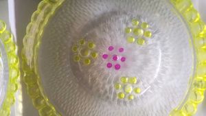 Glass Bowl / Pudding Set