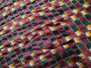 Pure Silk Ikkat Patola Saree