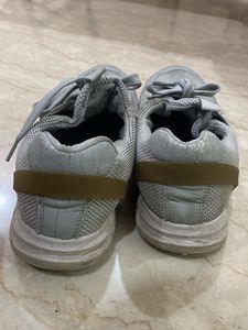 Sea Green Women Sports Shoes