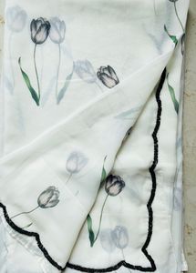 off White orgenza Saree