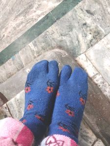 Used Socks Winter