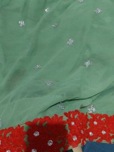 Green seqince Saree