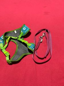 Dog Harness with Leash
