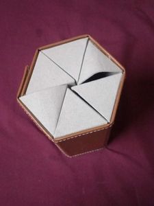 Stylish Sunglass Organizer