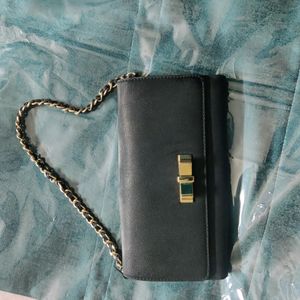 Charles &amp; Keith Side Clutch