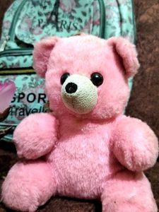 Cute Teddy Bear &amp; Backpack
