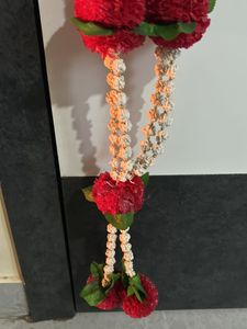 Tilgul Haar