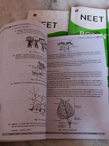 Neet Botany