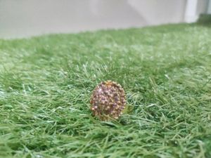&#34;Stunning Women&#39;s Ring: Symbol of Elegance and Emp