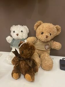 Combo Of 3 Teddies 🧸