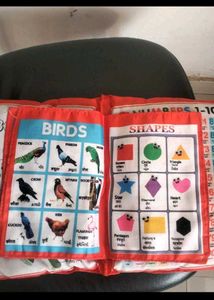 Pillow Book