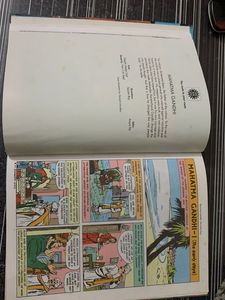 Amar Chitra Katha - Great Indian Fighters