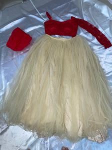 Lehenga Choli