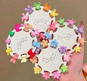 25 Peice Mix Design Hair Clip