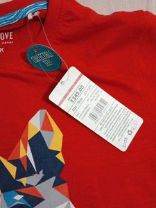 11-12 Year Point Cove Graphic Tee - Geometric Wolf