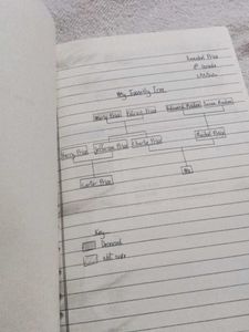 The Reappearance of Rachel Price