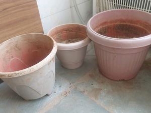 Pot With Soil And Composed