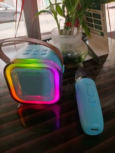 Wireless Karaoke Speaker