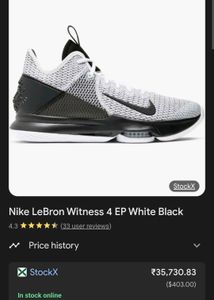 Rare Nike LeBron Witness 4 Basketball  Original