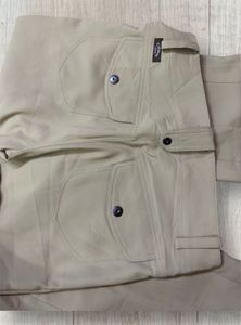 Beige Formal Pants