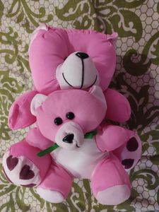 Cute Teddy🧸 (medium size)