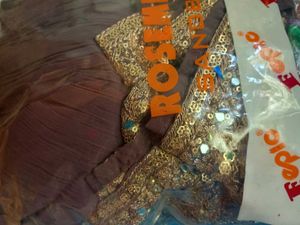 Elegant Ethnic Gown (Catalogue Piece)