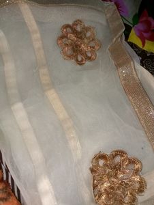 Cream Colour Net Dupatta