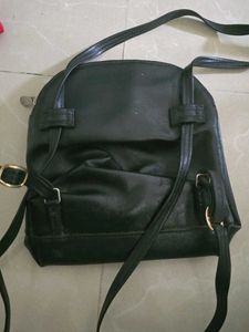 Baggit Bag