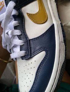 Nike Dunk Low (Authentic)