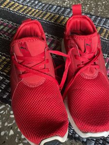 Original Branded Puma Shoes