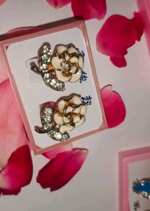 Beautiful Earings ✨✨