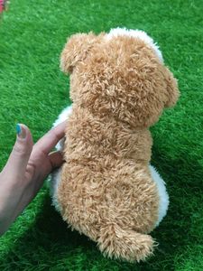 Cute Puppy 🐶