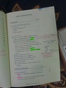Marrow Pathology Notes Edition 6